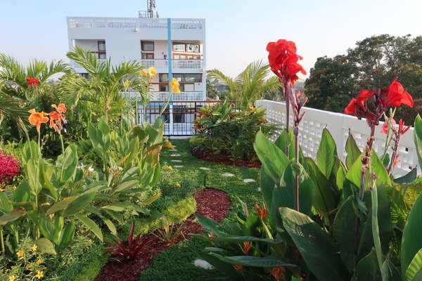 Techo verde tropical al piso 3. Área común. Flores, fragancias y grillos. Vista a la Laguna y al rio y a la ciudad. Romanticismo y romance.