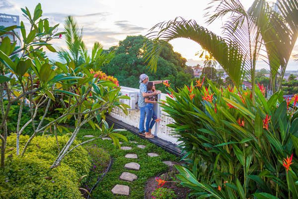 Atardecer. Techo verde tropical al piso 3. Área común. Flores, fragancias y grillos. Vista a la Laguna y al rio y a la ciudad. Puesta del sol. Romanticismo y romance.